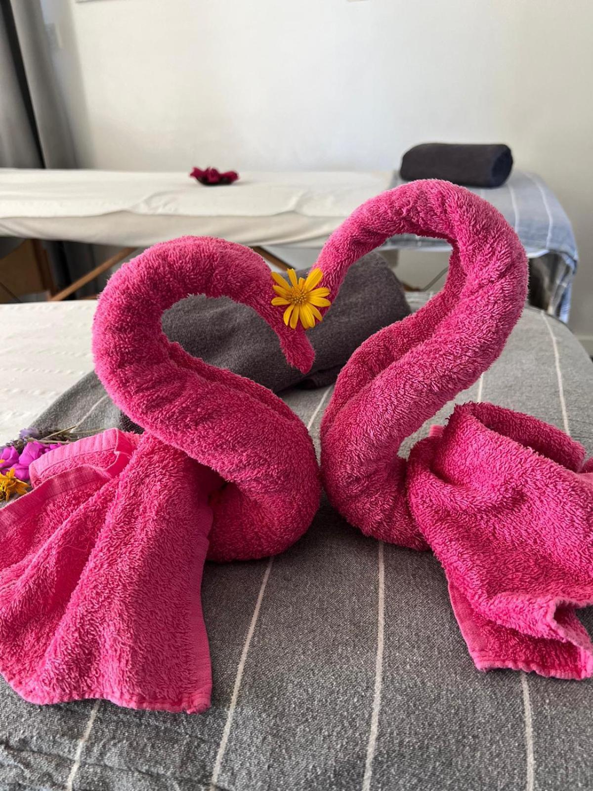 "L Eden Enchante" Chambres D'Hotes Et Spa Cote Basque بوكو المظهر الخارجي الصورة